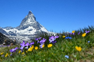 Vakantiewoningen Zwitserse Alpen