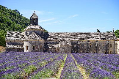 Vakantiewoningen Provence